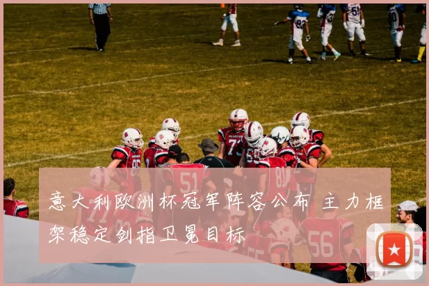 意大利欧洲杯冠军阵容公布 主力框架稳定剑指卫冕目标