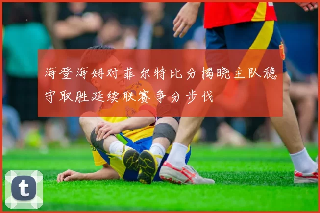 海登海姆对菲尔特比分揭晓主队稳守取胜延续联赛争分步伐