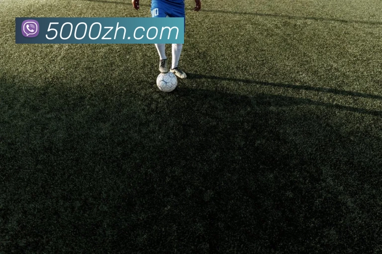 bobapp官网下载(中国)官网入口APP 高清赛事图